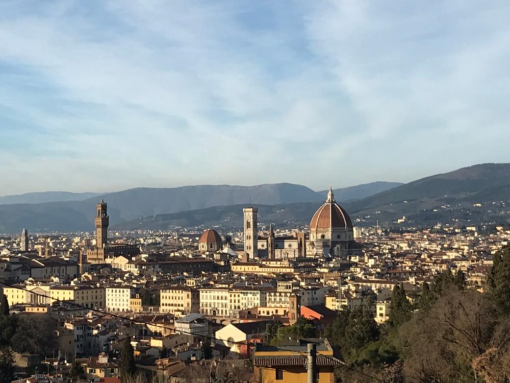 Florence Panorama